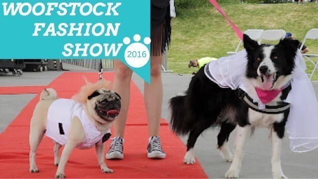 'Best Dressed Dogs at Woofstock 2016 Fashion Show (Day 1)'