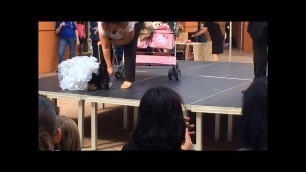 'Awesome Pet Fashion Show & Pet Expo video presented by Fiesta Pet Deli'