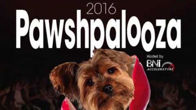 'Pawshpalooza: Winnipeg\'s Original & Best Pet Fashion Show'