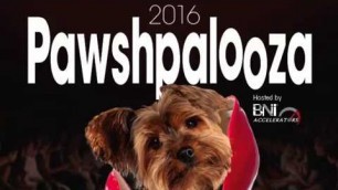 'Pawshpalooza: Winnipeg\'s Original & Best Pet Fashion Show'