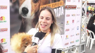 'Evento Dog Fashion Day 2015 - Vale Shop - Cris Fraccari (Programa 336)'