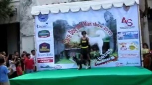 'Siberian Husky Puppy - Dog Fashion Show as Bat Dog and Bat Girl'