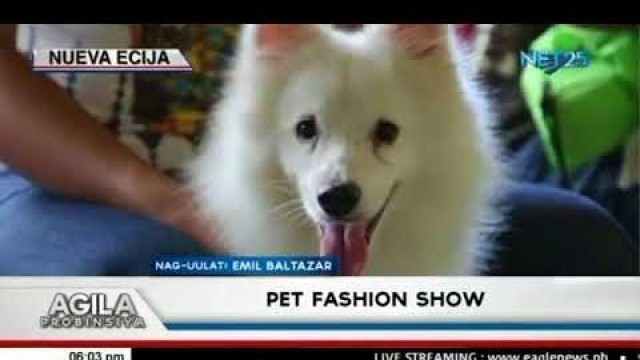 'Pet fashion show isinagawa sa San Jose City, Nueva Ecija'