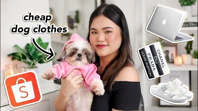 'huge shopee haul (clothes, makeup, dog accessories, room decor, tech)'