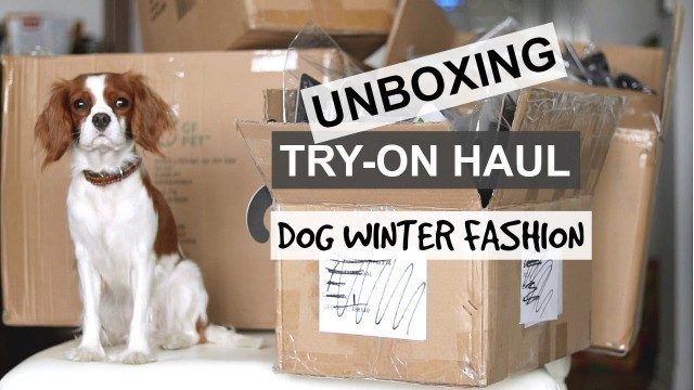 'UNBOXING TRY-ON HAUL | Dog Winter Fashion | Dog Winter jackets & sweaters'