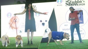 'சென்னை செல்லப்பிராணிகள் ஃபேஷன் ஷோ | Chennai Pet Fashion Show 2020'