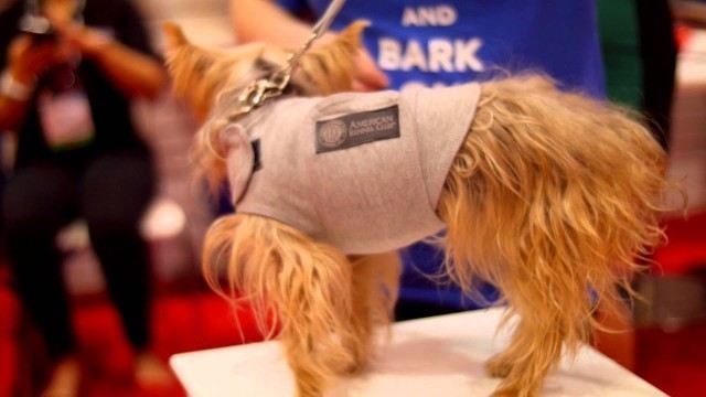 '\"Keep Calm & Bark On\" a the BH Pet Gear Fashion Show at Global Pet Expo'