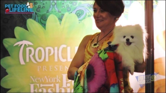 'New York Pet Fashion Show 2015'