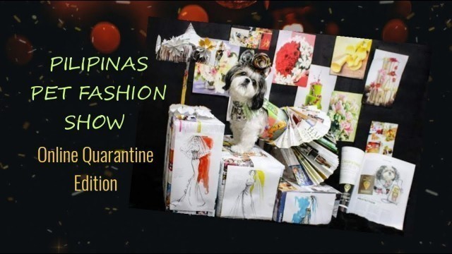 'Pilipinas Pet Fashion Show:Online Quarantine Edit | Round 1 | vlog#15 | #doratzu #youtuber #shihtzu'