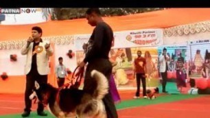 'Akshat Creative House student at PET FASHION SHOW PATNA feb2017 mpeg4'