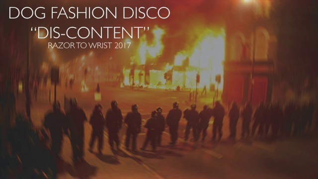 'Dog Fashion Disco — \"Dis-Content\" (OFFICIAL AUDIO)'