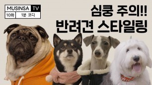 '견주들 주목!! 반려견 스타일링 따라잡기 