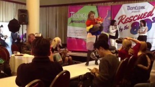 'New York Pet Fashion Show 2016 Costume Contest'