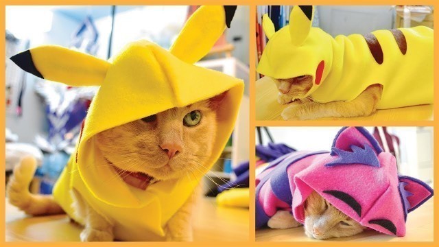 'DIY Cat & Dog Clothes - Pikachu, Hoodies & More!'