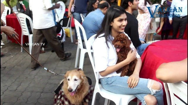 'THE DESIGNERS AT THE CHENNAI PET FASHION SHOW 2020    Valgan Tv 3ueMC s0Tno'