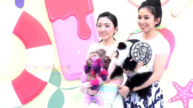 'Jadi Juri  Dog Fashion Show, Dominique Nadine Tampil Unik'