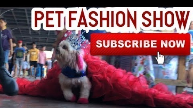 'Pet Fashion Show | Super Marcos Vlogs'