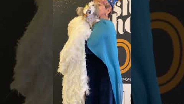 '2020 NY Pet Fashion Show & The Gold Paw Awards part 1'