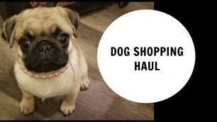 'Dog Shopping Haul ! Dog clothes, Dog collar, Dog treats and more !'