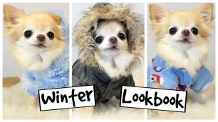 'CUTE PUPPY sized chihuahua models TINY DOG CLOTHES'