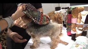 'Pet Fashion Week NY'