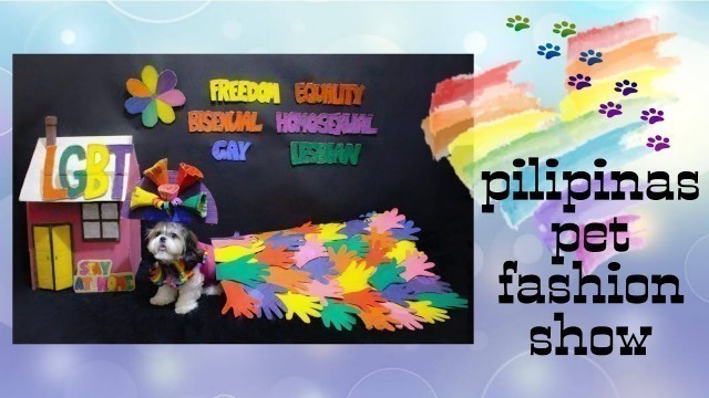 'Pilipinas Pet Fashion Show:Online Quarantine Edit | Round 3 | vlog#17 | #doratzu #youtuber #shihtzu'