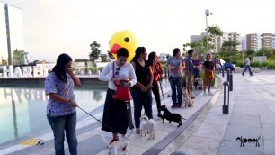 'Resumen del Mr Pet Fashion Show - Entrenamiento canino'