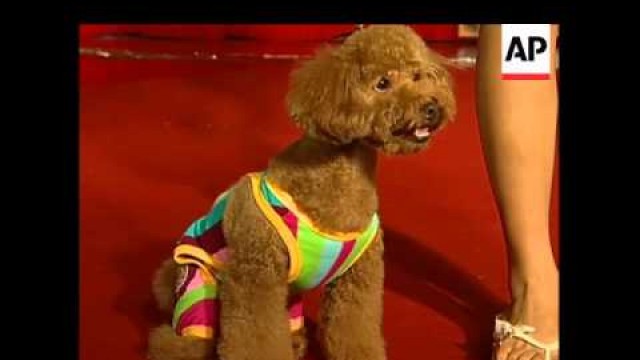 'Pooches line up for dog fashion show'