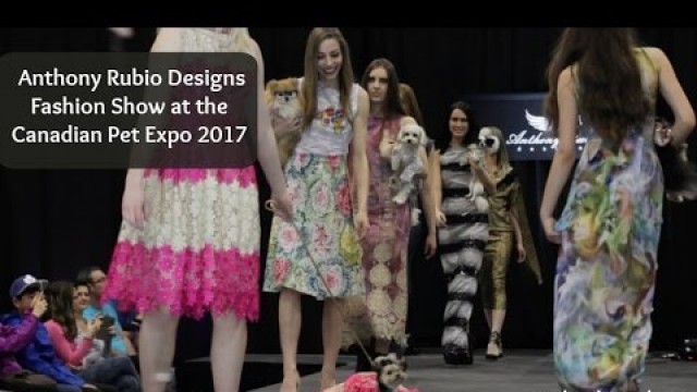 'Dogs Dressed Up in Anthony Rubio Designs Fashion Show at the Canadian Pet Expo'