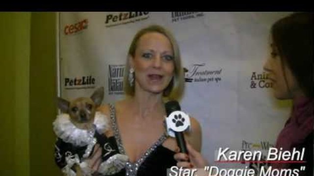 'All For Animals #32: Pre-Westminster Dog Fashion Show Benefits NYC Shelter Animals'