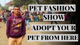 'Pet Fashion Show || Adopt Your Pet From Here'