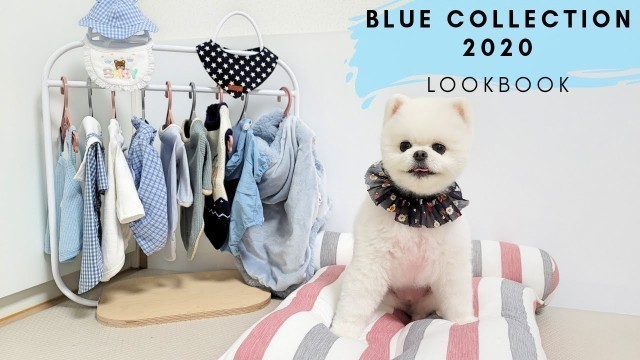 '(ENG) [룩북] 강아지옷 | Blue Collection 2020 | [LOOKBOOK] Dog Fashion | Haul'