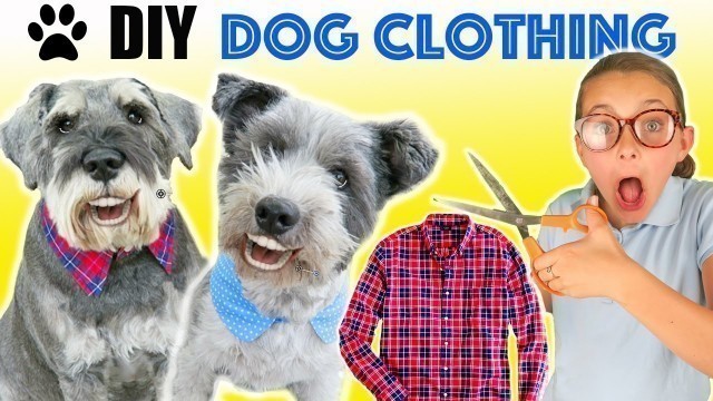 'How To Make DIY Funny Upcycled Dog Clothes | Dog Collar Clothing tutorial | Kids Cooking and Crafts'