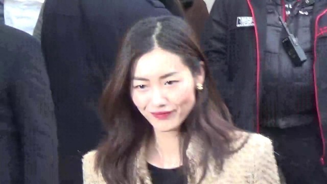 'Liu WEN 刘雯 @ Paris Fashion Week 24 january 2017 show Chanel / Janvier #PFW'