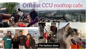 'Pet fashion show kolkata| Calcutta offbeat ccu|Best rooftop cafe in kolkata|Cafe in kolkata|Pet cafe'