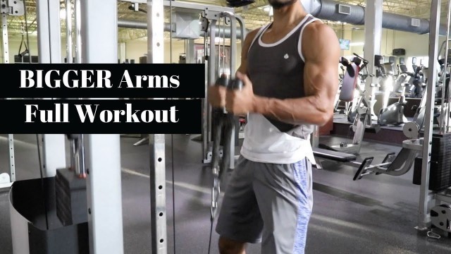 'Trying to Get Bigger Arms | Full Arm Workout'