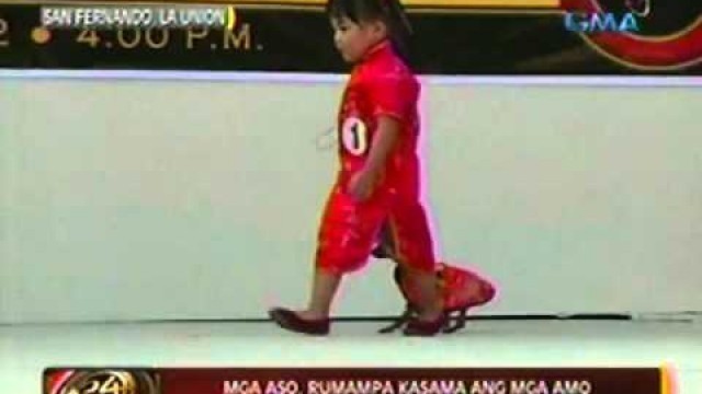 '24oras: Mga aso, rumampa kasama   ang mga amo sa isang dog fashion   show'