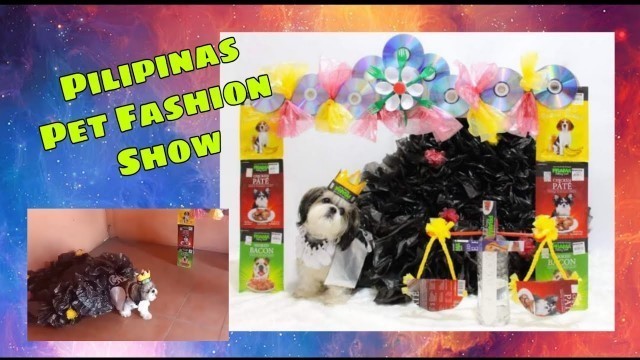 'Pilipinas Pet Fashion Show:Online Quarantine Edit | Round 2 | vlog#16 | #doratzu #youtuber #shihtzu'