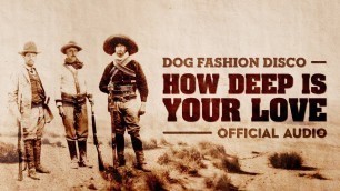 'Dog Fashion Disco — \"How Deep is Your Love\" (Bee Gees Cover) (OFFICIAL AUDIO)'