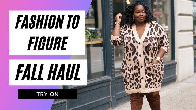 'FASHION TO FIGURE PLUS SIZE CLOTHING HAUL | Stylish Curves'