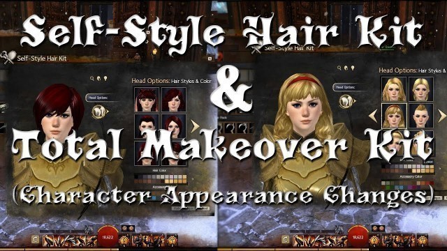 'Guild Wars 2 - Self-Style Hair Kit & Total Makeover Kit (Appearance Changes!)'