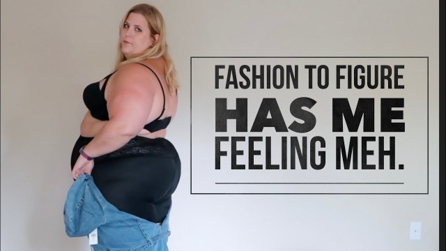 'Fashion to Figure Haul: Meh about sums it up.'